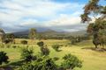 Property photo of 144 Gills Lane Brunkerville NSW 2323