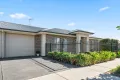 Property photo of 20 Douglas Street Marion SA 5043