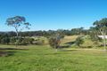 Property photo of 25 Stringy Park Close Bega NSW 2550