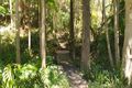Property photo of 523 Wivenhoe Somerset Road Split Yard Creek QLD 4306