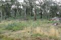 Property photo of 398 Huntingdon Tier Road Bagdad TAS 7030