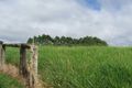 Property photo of 36 South Arm Close Ravenshoe QLD 4888
