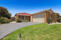 Property photo of 11 Peveril Crescent Cranbourne North VIC 3977