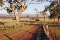 Property photo of 774 Moobi Road Moobi NSW 2337