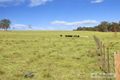 Property photo of 1352 Rockvale Road Thalgarrah NSW 2350