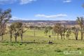 Property photo of 1352 Rockvale Road Thalgarrah NSW 2350