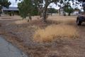 Property photo of 29 Dreyer Street Tammin WA 6409