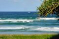 Property photo of 40 Pacific Parade Lennox Head NSW 2478