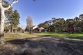 Property photo of 5 Francis Terrace East Tarpeena SA 5277