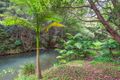 Property photo of 25 Greenvale Court Burringbar NSW 2483