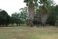 Property photo of 968 Kamilaroi Highway Quirindi NSW 2343