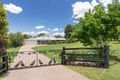 Property photo of 800 Fishers Hill Road Torryburn NSW 2421
