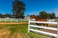 Property photo of 37 Grassy View Gidgegannup WA 6083