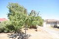 Property photo of 6 Comet Avenue Netley SA 5037