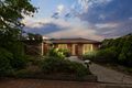 Property photo of 15 Tilba Court Berwick VIC 3806