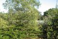 Property photo of 163 Main Street Lowood QLD 4311