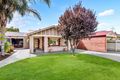 Property photo of 33 Arnold Street Underdale SA 5032