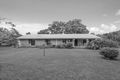 Property photo of 505 Pine Mountain Road Muirlea QLD 4306