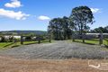 Property photo of 245 Halloran Road North Arm Cove NSW 2324