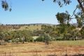 Property photo of 42 Ridgetop Ramble Bindoon WA 6502