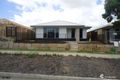 Property photo of 33 Danbulla Street Pimpama QLD 4209