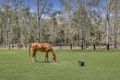 Property photo of 127 Camp Mountain Road Camp Mountain QLD 4520
