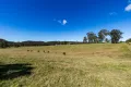 Property photo of 9859 Princes Highway Cobargo NSW 2550