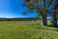 Property photo of 9859 Princes Highway Cobargo NSW 2550