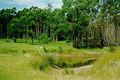Property photo of 3120 Wingham Road Comboyne NSW 2429