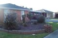 Property photo of 56 Summerlea Road Narre Warren VIC 3805