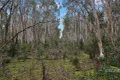 Property photo of 955 Bendoc-Orbost Road Bendoc VIC 3888