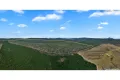 Property photo of 955 Bendoc-Orbost Road Bendoc VIC 3888