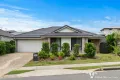 Property photo of 177 Woodline Drive Spring Mountain QLD 4300