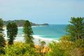 Property photo of 16 Ascot Avenue Avoca Beach NSW 2251