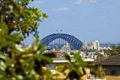 Property photo of 14/69 Bradleys Head Road Mosman NSW 2088