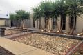 Property photo of 14 Nicholas Avenue Mildura VIC 3500
