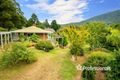 Property photo of 4 Lyrebird Avenue East Warburton VIC 3799