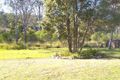 Property photo of 53 Palma Rosa Drive Wulkuraka QLD 4305