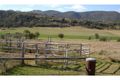 Property photo of 319 Gaol Creek Road Moonbi NSW 2353
