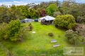 Property photo of 353 Martells Road Brierfield NSW 2454