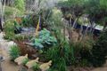 Property photo of 127 Brights Drive Rye VIC 3941