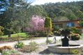 Property photo of 45 Hepburn Street McKellars Park NSW 2790