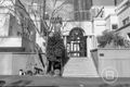 Property photo of 14/43-51 Jeffcott Street West Melbourne VIC 3003
