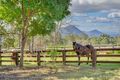 Property photo of 197 Hardcastle Road Carneys Creek QLD 4310
