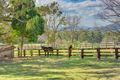 Property photo of 197 Hardcastle Road Carneys Creek QLD 4310
