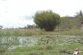 Property photo of 77 Parsons Road Coondoo QLD 4570