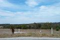 Property photo of 75 Viscount Heights Lower King WA 6330