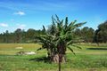 Property photo of 210 Bigmor Drive Elimbah QLD 4516