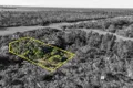 Property photo of 5 Crib Point Road Crib Point VIC 3919