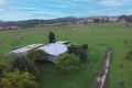 Property photo of 7552 Bruxner Highway Sandilands NSW 2469